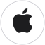 Apple favicon